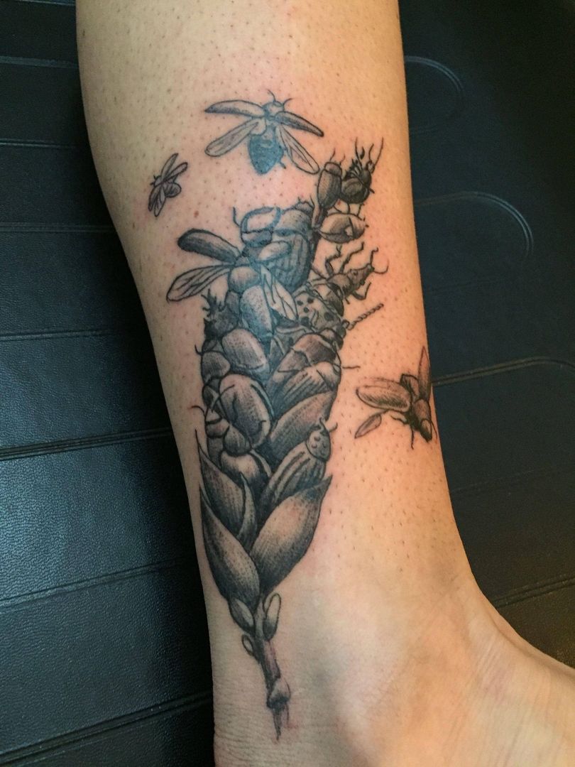 Black and Grey