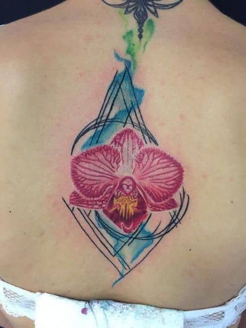 Floral & Ornament