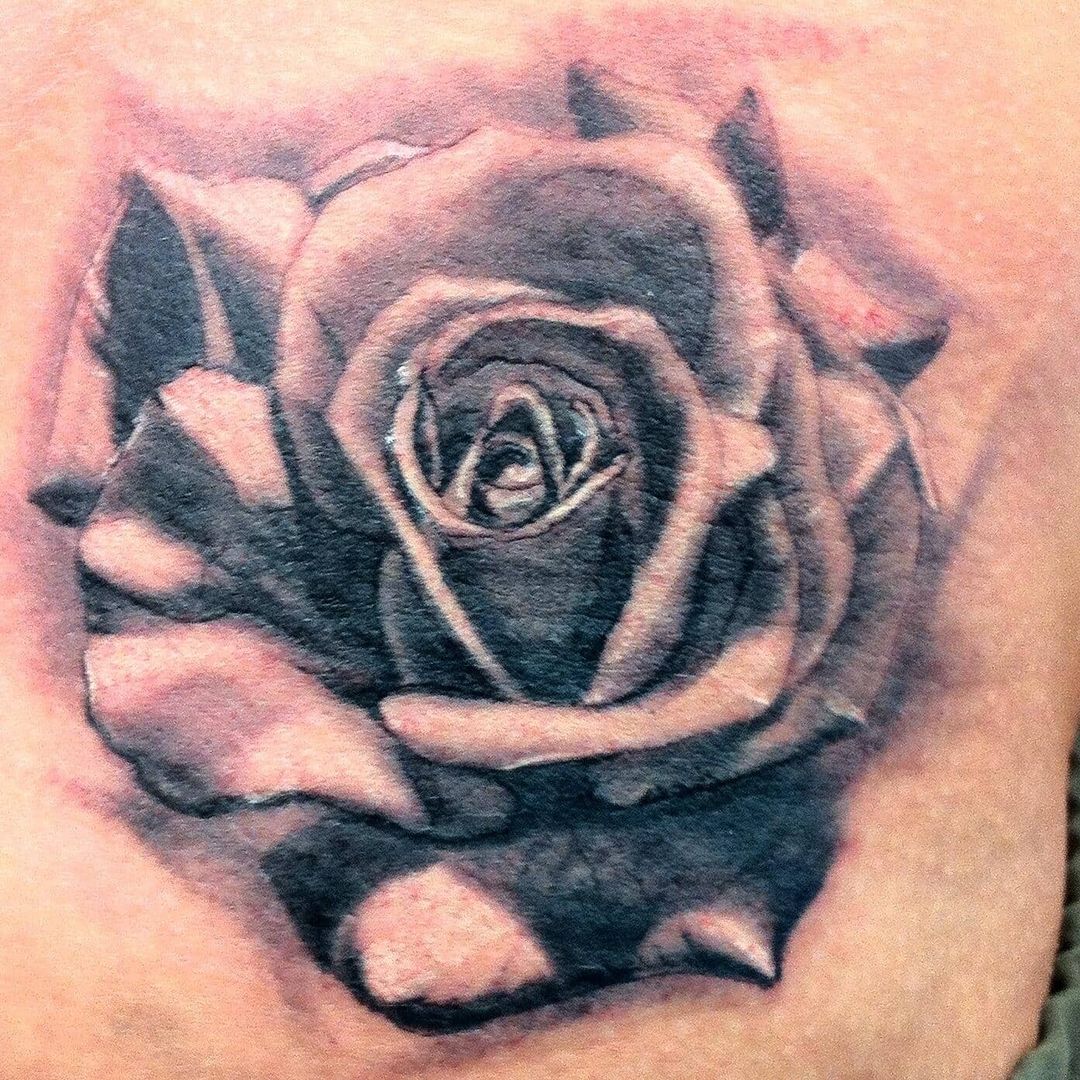 Floral & Ornament