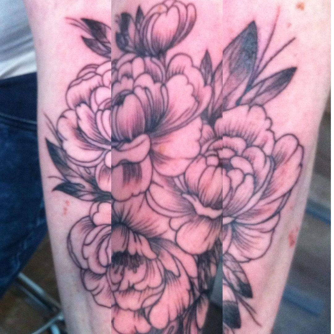 Floral & Ornament