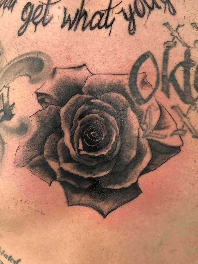 Floral & Ornament