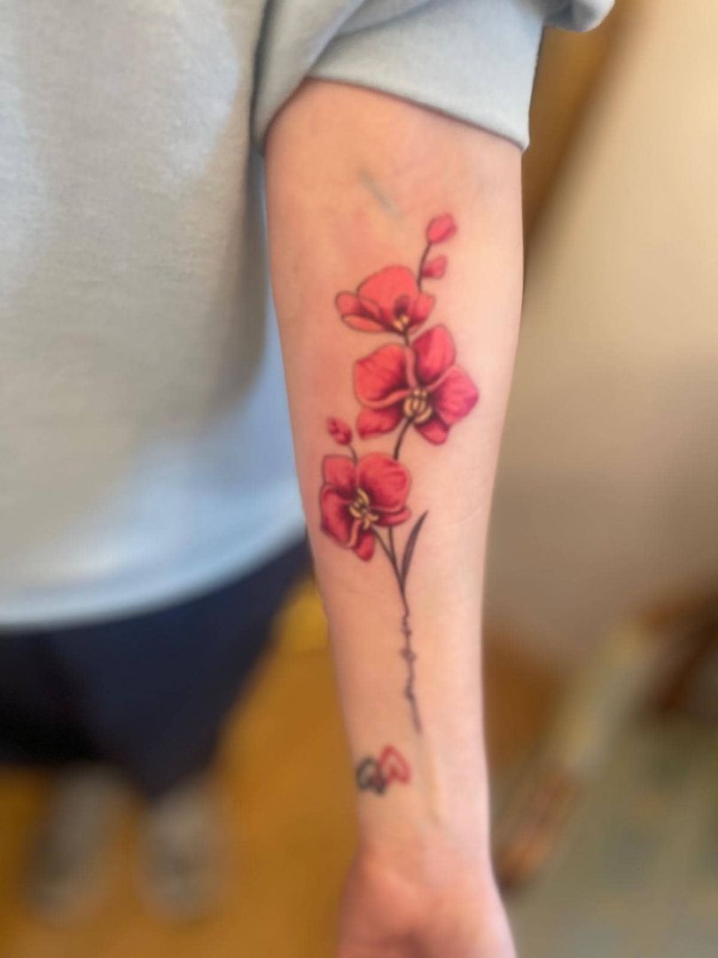 Floral & Ornament